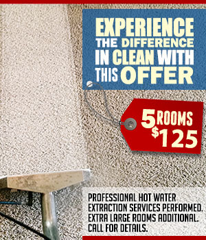 Carpet Cleaning Specials