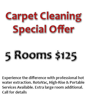 Carpet Cleaning Specials